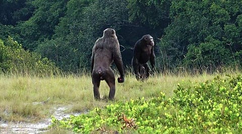 ഫോട്ടോ: ട്വിറ്റർ