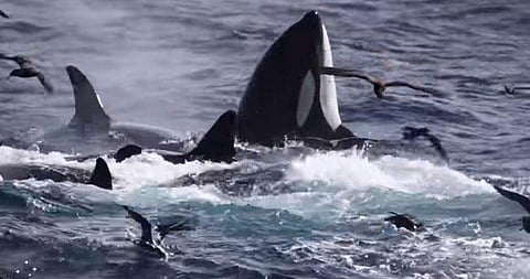 പ്രതീകാത്മക ചിത്രം