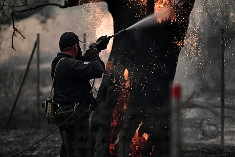 ചിത്രം: എ പി