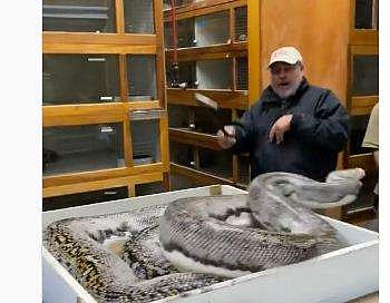 പെരുമ്പാമ്പിന്റെ ആക്രമണത്തില്‍ നിന്ന് വിദഗ്ധമായി ഒഴിഞ്ഞുമാറുന്ന ജീവനക്കാരന്‍