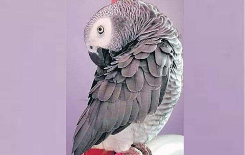 പ്രതീകാത്മക ചിത്രം