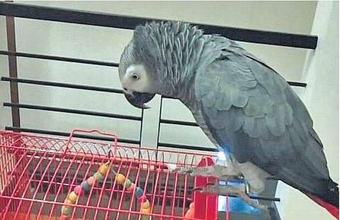 പ്രതീകാത്മക ചിത്രം