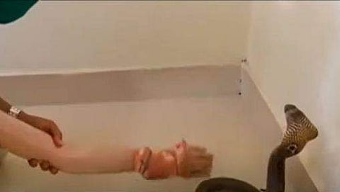 ഉത്രവധക്കേസിലെ ഡമ്മിയുമായുള്ള തെളിവെടുക്കുന്നതിന്റെ ദൃശ്യം