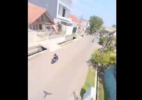 ഫോണ്‍ തട്ടിയെടുത്ത് തത്ത പറക്കുന്നതിനിടെ പകര്‍ത്തിയ ദൃശ്യം