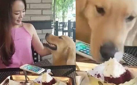 വിഡിയോ സ്ക്രീൻഷോട്ട്