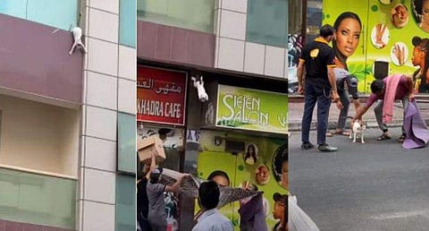 വിഡിയോ സ്ക്രീൻഷോട്ട്