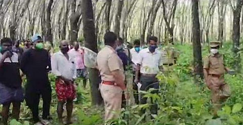 ടാപ്പിങ് തൊഴിലാളികളെ കാട്ടാന ആക്രമിച്ച സ്ഥലം, ടെലിവിഷന്‍ ദൃശ്യം