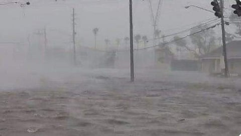 ട്വിറ്റർ ചിത്രം