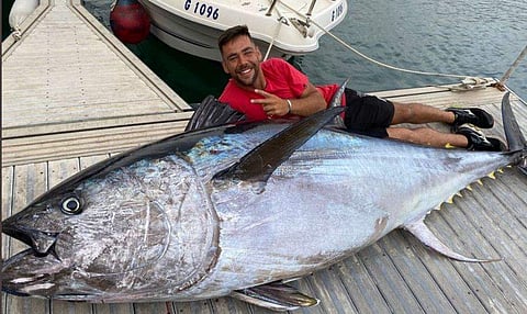 ബ്ലൂഫിന്‍ ടൂണ ചിത്രം /കടപ്പാട് ഡെയ്‌ലി സ്റ്റാര്‍