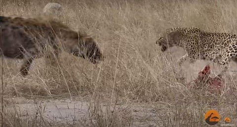 വീഡിയോ ദൃശ്യം