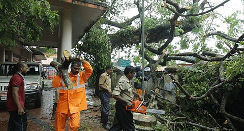 ഫയല്‍ ചിത്രം