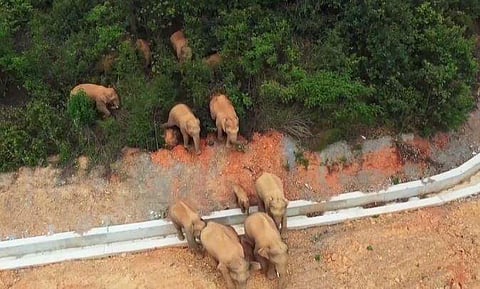 വിഡിയോ സ്ക്രീൻഷോട്ട്