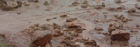 പ്രതീകാത്മക ചിത്രം