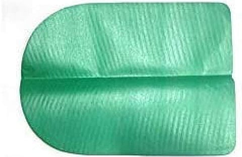 പേപ്പർ ഇല