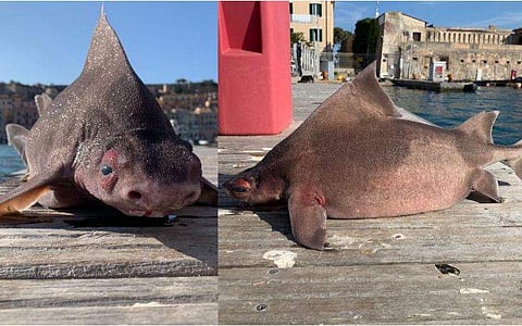 ചിത്രം: ഫേസ്ബുക്ക്