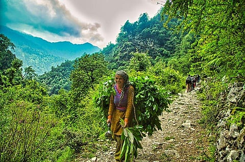 ഡോഡിത്താലിലേക്കുള്ള പാത/ ഫോട്ടോ: സിജെ തോമസ്