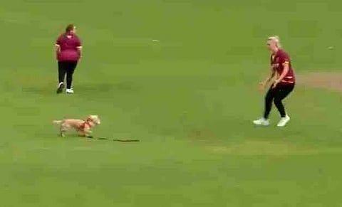 ഫോട്ടോ: ട്വിറ്റർ