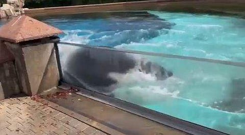 വീഡിയോ ദൃശ്യം