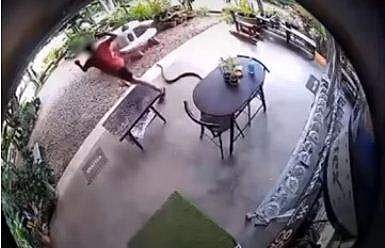 പാമ്പിനെ കണ്ട് ഓടുന്ന യുവാവിന്റെ ദൃശ്യം