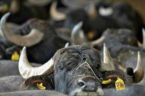 പ്രതീകാത്മക ചിത്രം