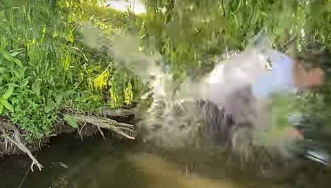 ചൂണ്ടയില്‍ കുരുങ്ങിയ കൂറ്റന്‍ മത്സ്യം യുവാവിനെ വെള്ളത്തിലേക്ക് വലിച്ചു കൊണ്ടുപോകുന്ന ദൃശ്യം