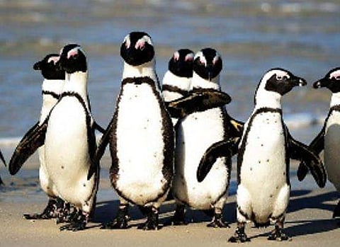 ഫോട്ടോ: ഫെയ്സ്ബുക്ക്