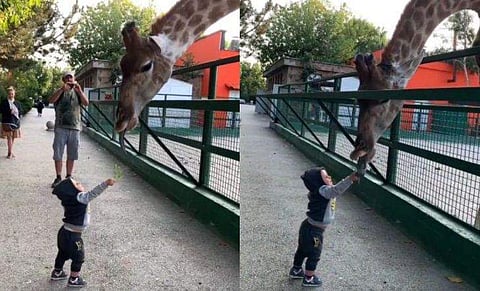 വിഡിയോ സ്ക്രീൻഷോട്ട്