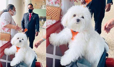 ചിത്രം; എഎൻഐ