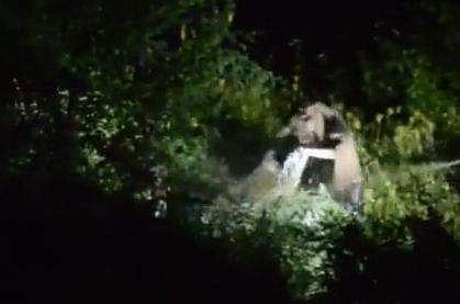 വിഡിയോ സ്ക്രീൻഷോട്ട്