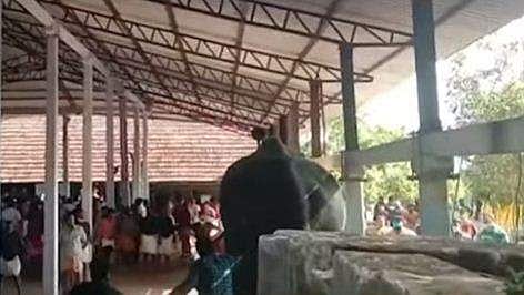 ഉത്സവത്തിനിടെ ഇടഞ്ഞ ആന /ടെലിവിഷന്‍ ചിത്രം