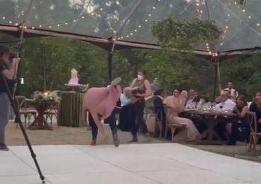 വിവാഹ വേദിയില്‍ വധുവരന്മാര്‍ വീഴുന്ന ദൃശ്യം