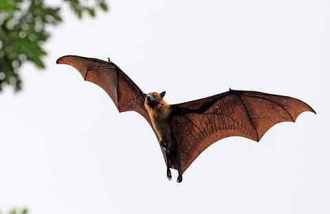 ഫയല്‍ ചിത്രം