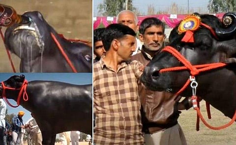 വിഡിയോ സ്ക്രീൻഷോട്ട്