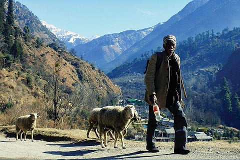 പഹോൾ ​ഗ്രാമത്തിന് സമീപം/ ഫോട്ടോ: ഹർഷതപൻ