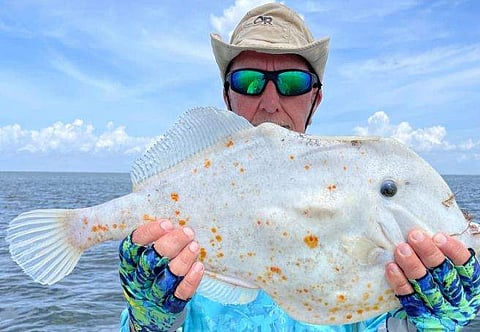 ടോർട്ടില ഫിഷുമായി ടോം ബോസ്‌വെർത്ത്‌/ ഫെയ്സ്ബുക്ക്