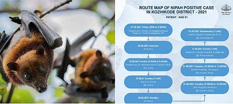 നിപ; 12കാരന്റെ റൂട്ട് മാപ്പ് പുറത്തുവിട്ടു; ചികിത്സയ്ക്ക് എത്തിയത് അഞ്ച് ആശുപത്രികളിൽ