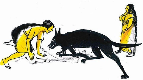 ചിത്രീകരണം: സചീന്ദ്രന്‍ കാറഡുക്ക