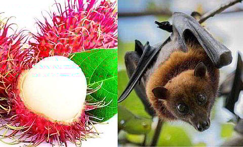 പ്രതീകാത്മക ചിത്രം