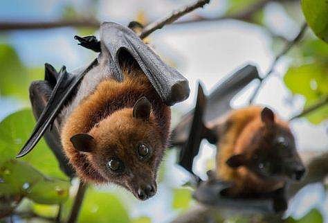 പ്രതീകാത്മക ചിത്രം