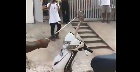 സ്‌കൂട്ടര്‍ ഹാന്‍ഡിലില്‍ പത്തിവിടര്‍ത്തി മൂര്‍ഖന്‍ പാമ്പ്