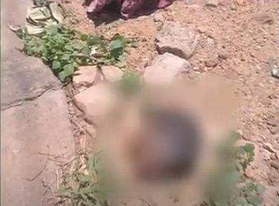 വീഡിയോ ദൃശ്യം