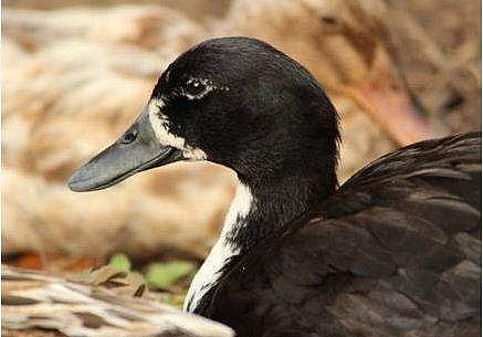 പ്രതീകാത്മക ചിത്രം