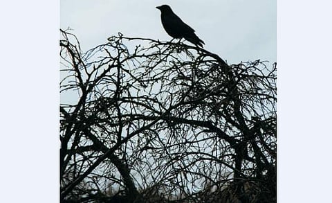 'എഴുത്തച്ഛനെഴുതുമ്പോള്‍...'- കെ. ജയകുമാര്‍ എഴുതിയ കവിത