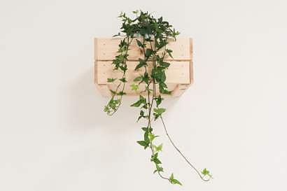 'വീണ്ടും പഴയ വീട്ടില്‍'- വി.എം. ഗിരിജ  എഴുതിയ കവിത