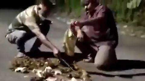 കാട്ടാന പിണ്ഡത്തില്‍ നിന്ന് കണ്ടെത്തിയ പ്ലാസ്റ്റിക് കവര്‍