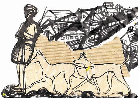 ചിത്രീകരണം: സചീന്ദ്രൻ കാറ‍ഡുക്ക