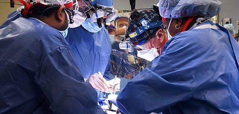 ചിത്രം : ട്വിറ്റർ