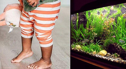 പ്രതീകാത്മക ചിത്രം