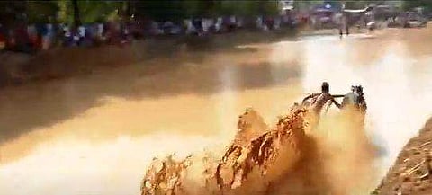 കന്നുപൂട്ട് മത്സരത്തിൽ നിന്ന്/ ടെലിവിഷൻ ദൃശ്യം