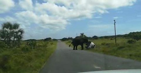 നാലംഗ കുടുംബം സഞ്ചരിച്ച കാര്‍ കാട്ടാന കുത്തിമറിച്ചിടുന്ന ദൃശ്യം